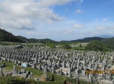 一般墓域・11区4番墓所～撮影