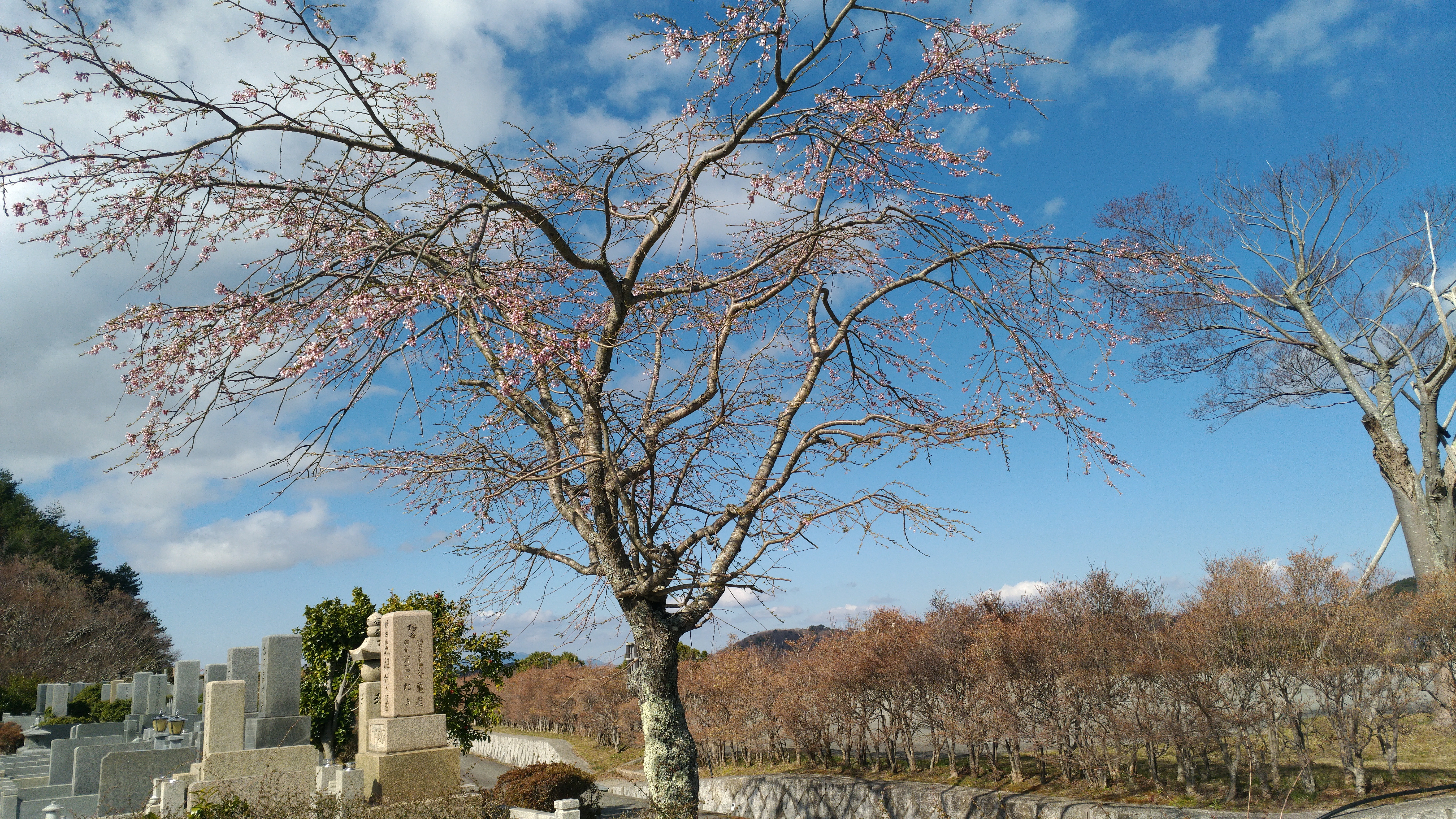 一般墓域・1区10番水汲み場風景