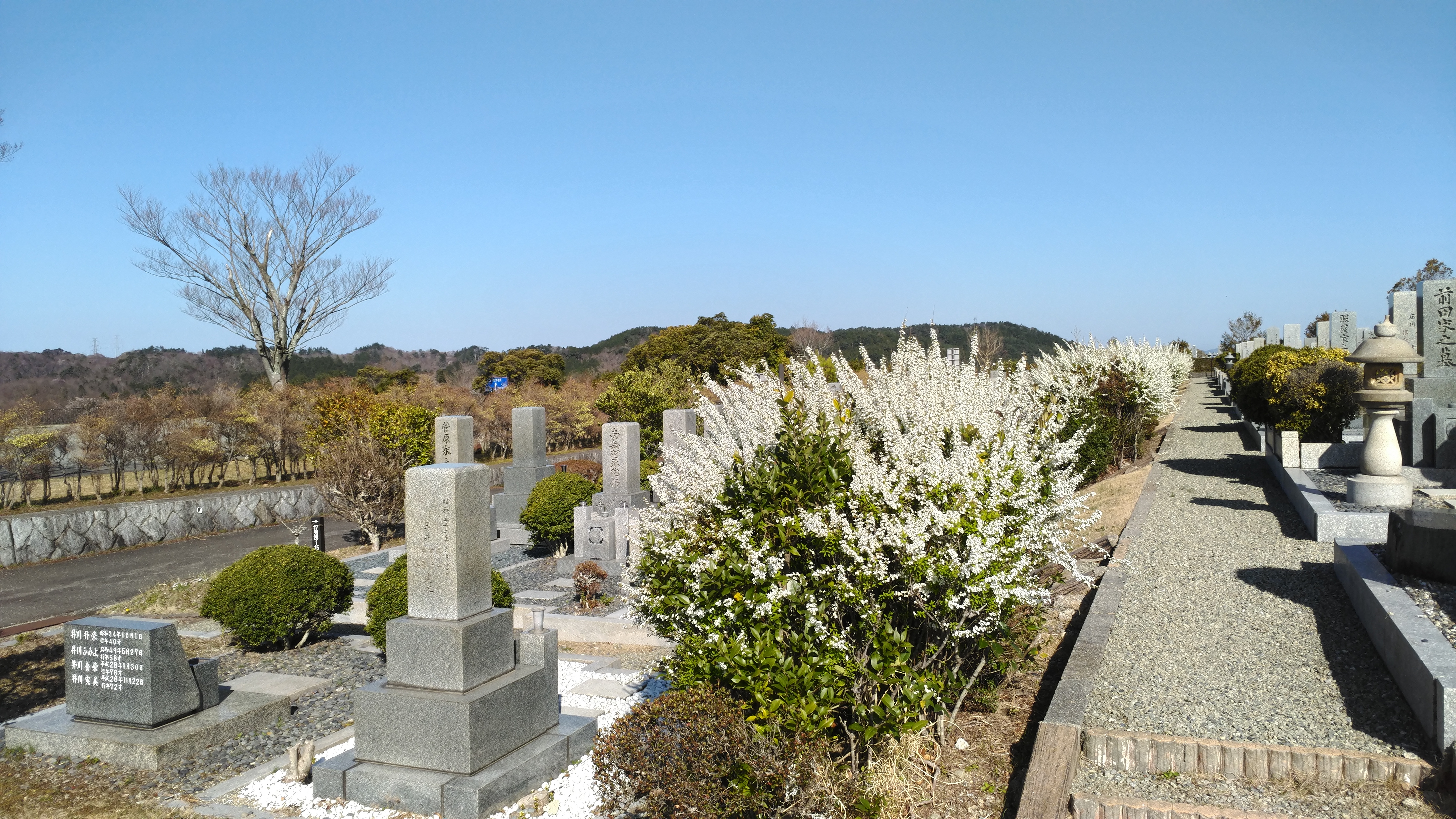 一般墓域・1区6番墓所～風景