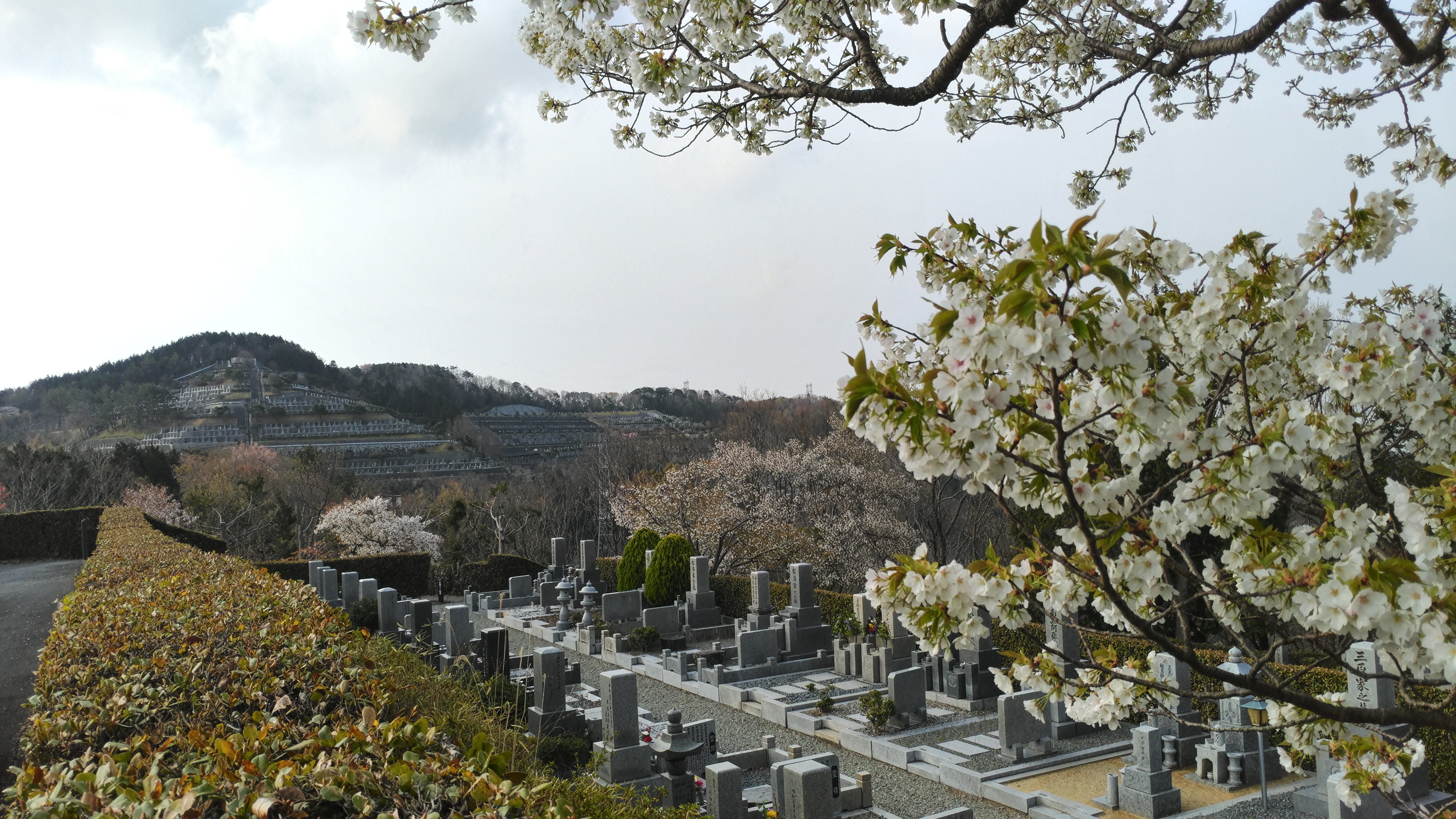 一般墓域・3区6番墓所～風景