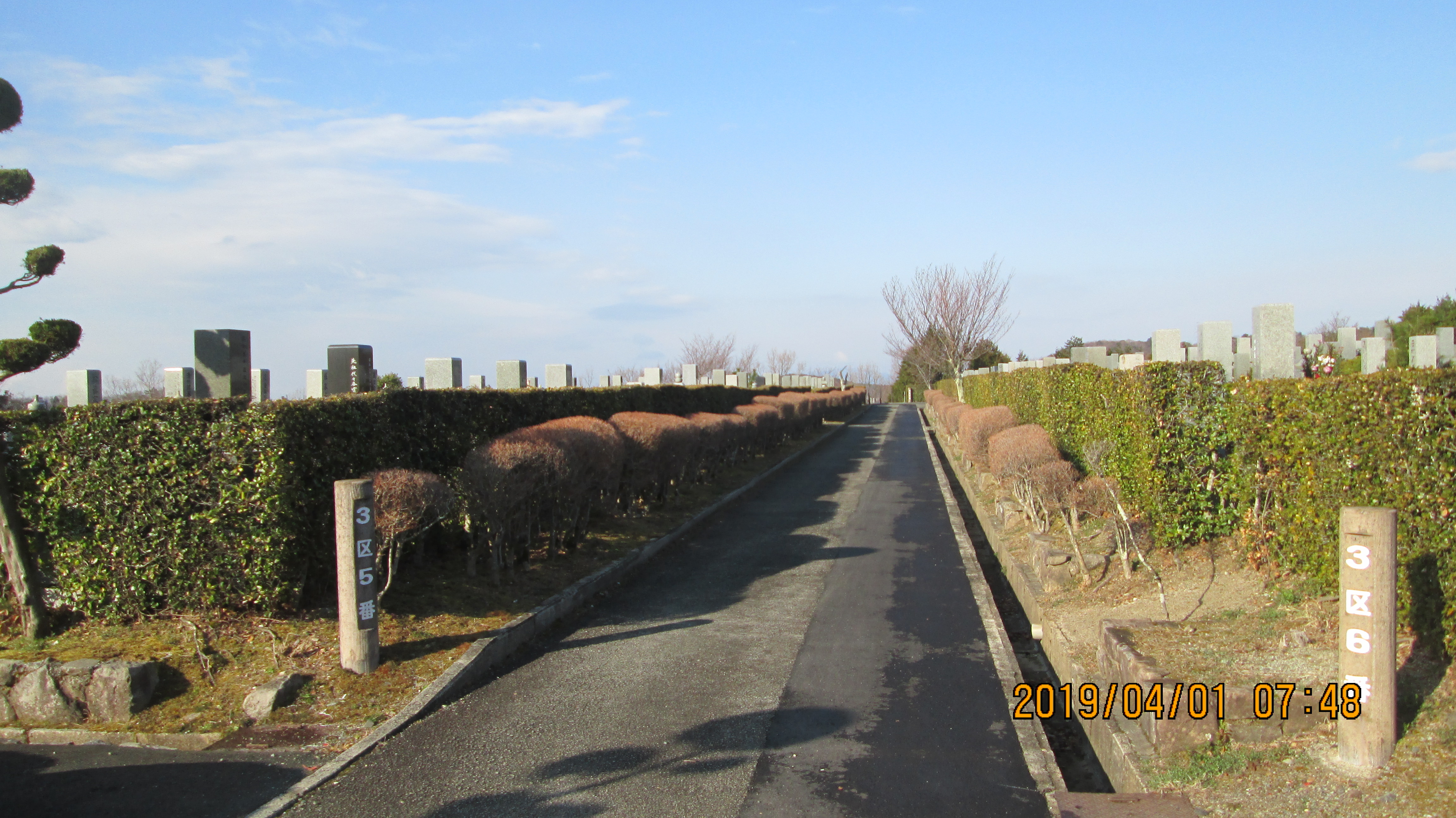 一般墓域・3区5/6番墓参道風景