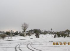 バス通り：1区墓所枝道風景