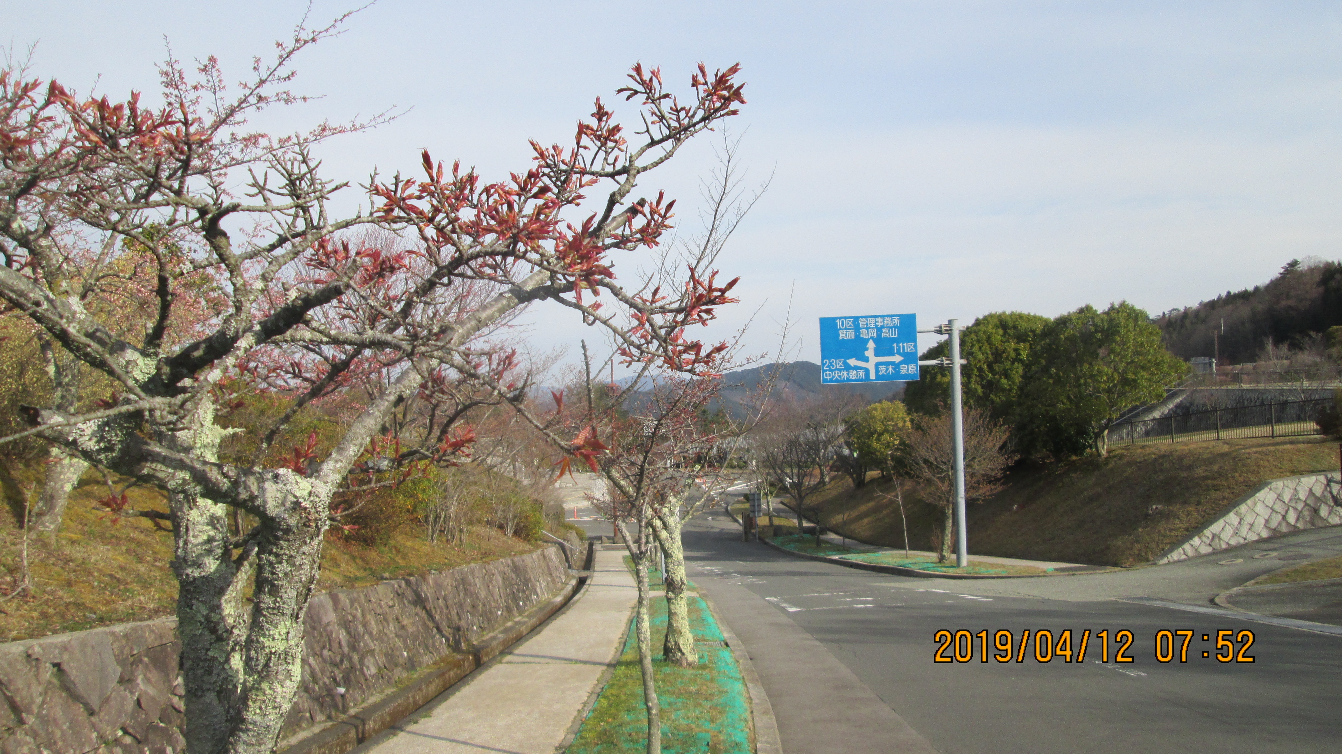 バス通り・2区墓所歩道風景