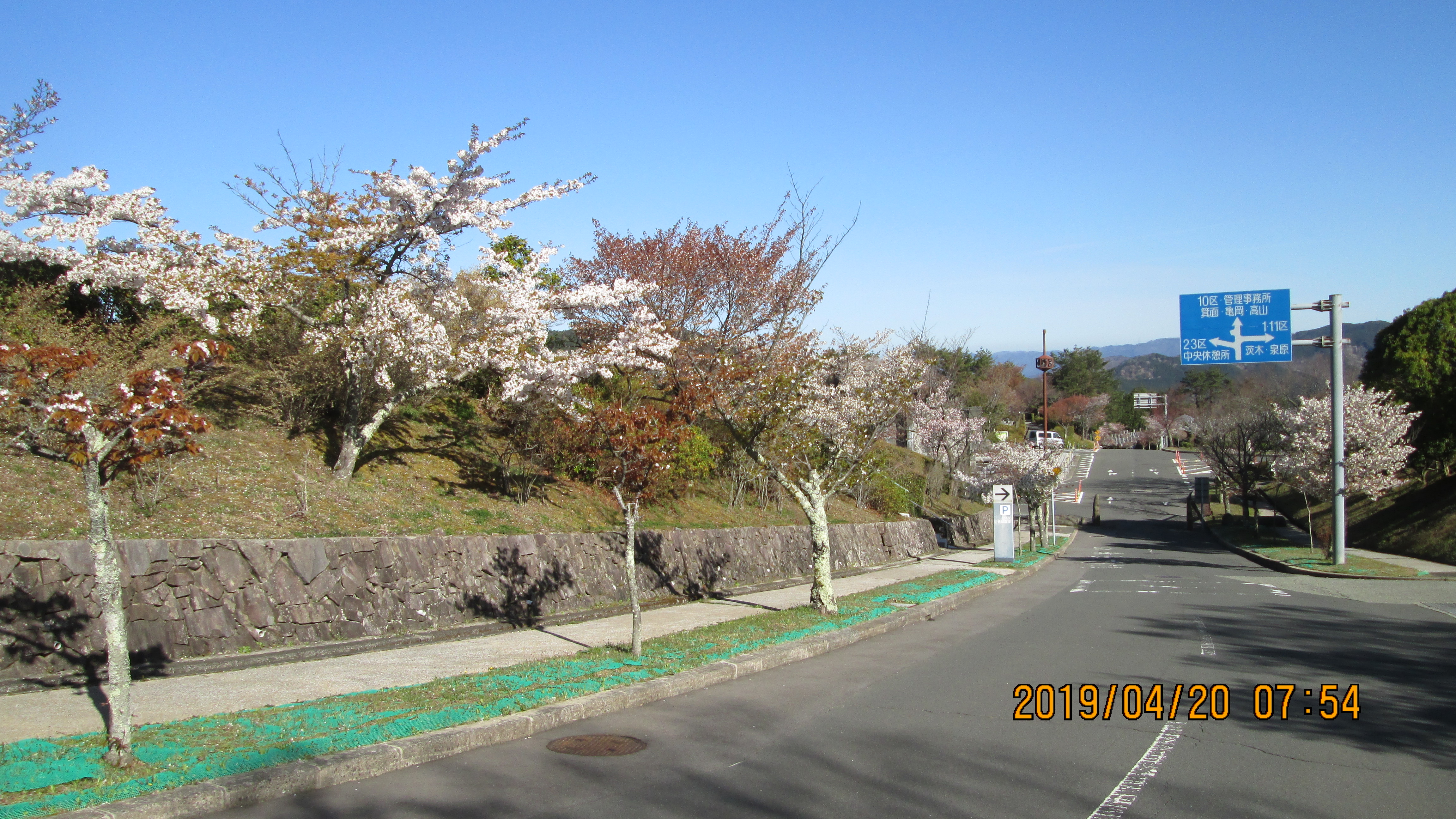 バス通り・2区2番墓所歩道から