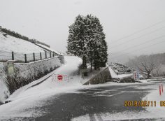 階段墓所：全枝道「積雪」通行止