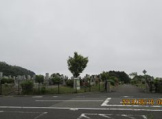 一般墓域・1区4/6番枝道～撮影