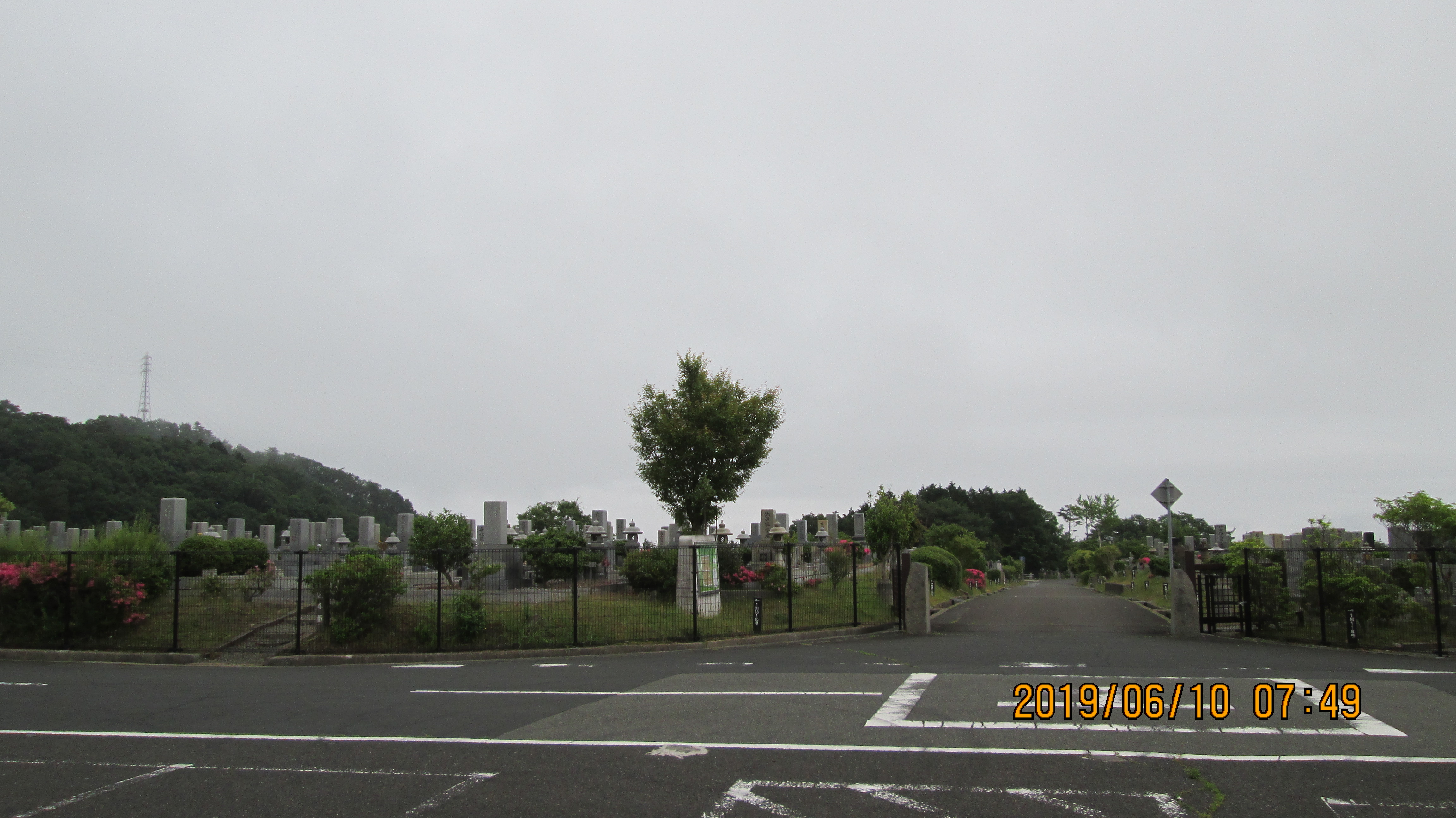 一般墓域・1区4/6番枝道～撮影