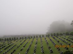 一般墓域・11区2番芝生墓所～