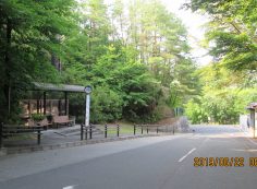 バス停（6）・八天の森バス停