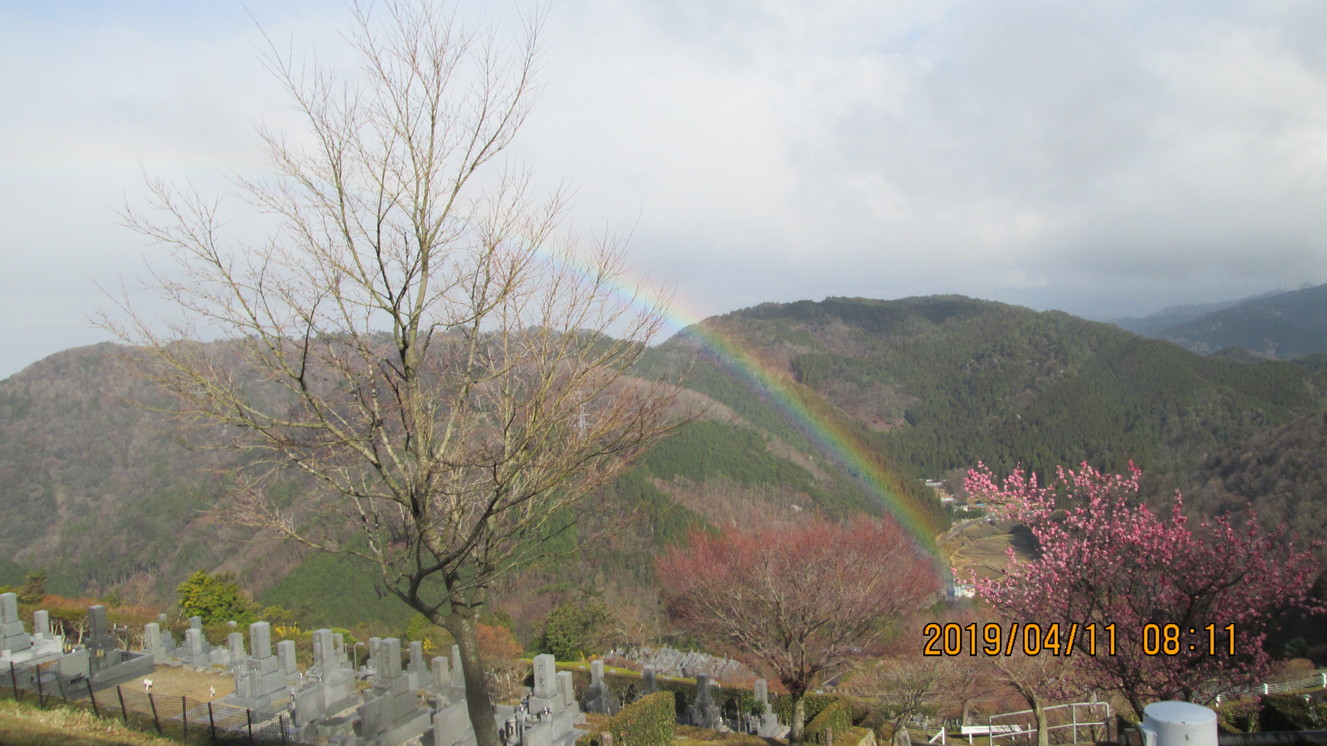 階段墓域・7区7番駐車場風景