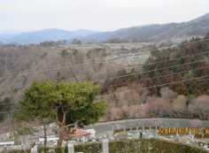 階段墓所・8区枝道からの風景