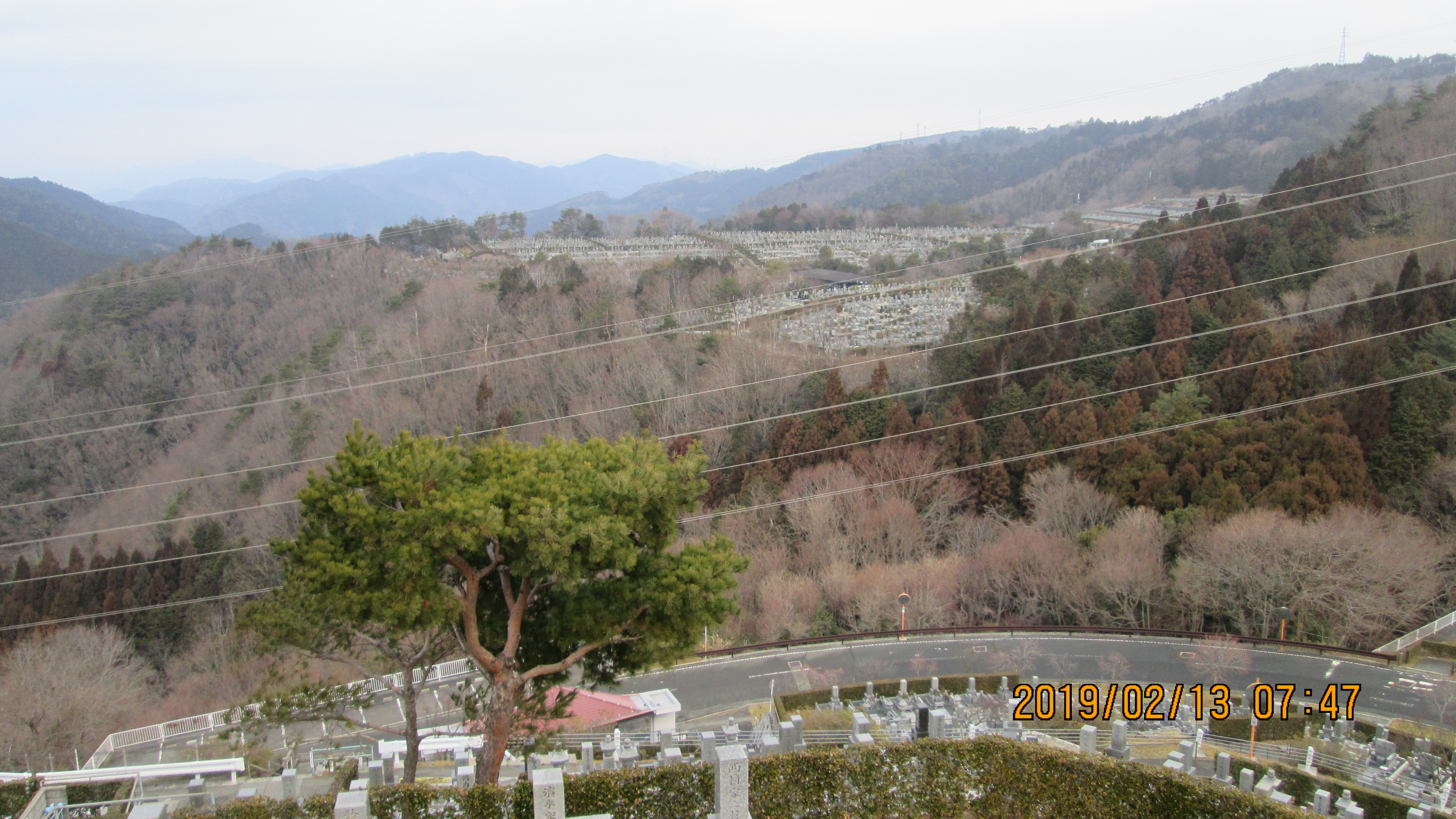 階段墓所・8区枝道からの風景