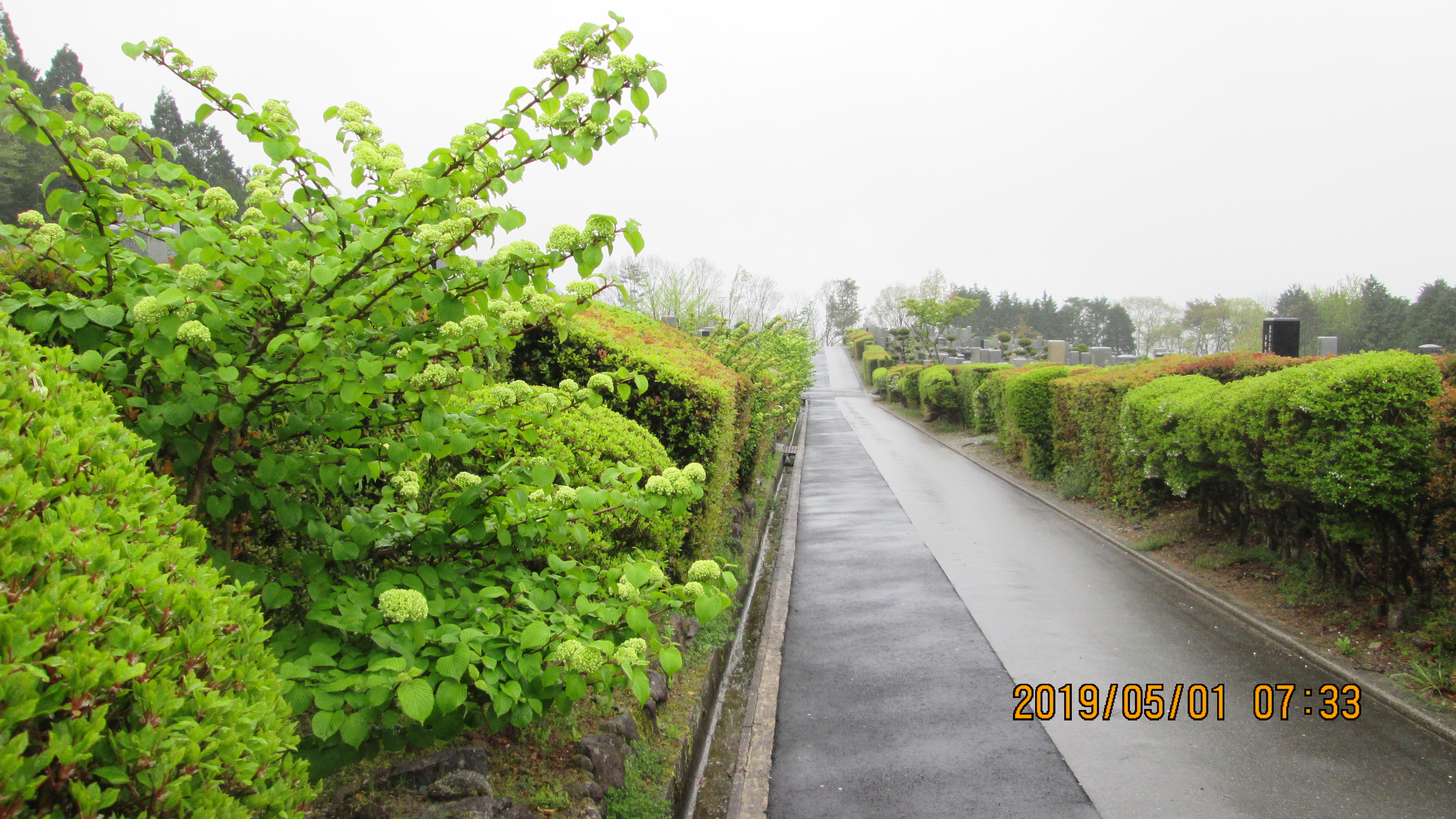 一般墓域・2区3/4番墓参道風景