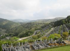 階段墓域・7区3番上段駐車場～