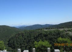 階段墓域・8区4番枝道駐車場