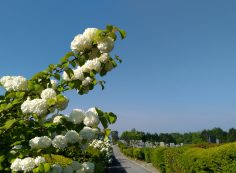 令和元年05月13日