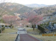 階段墓域・7区7番駐車場～風景