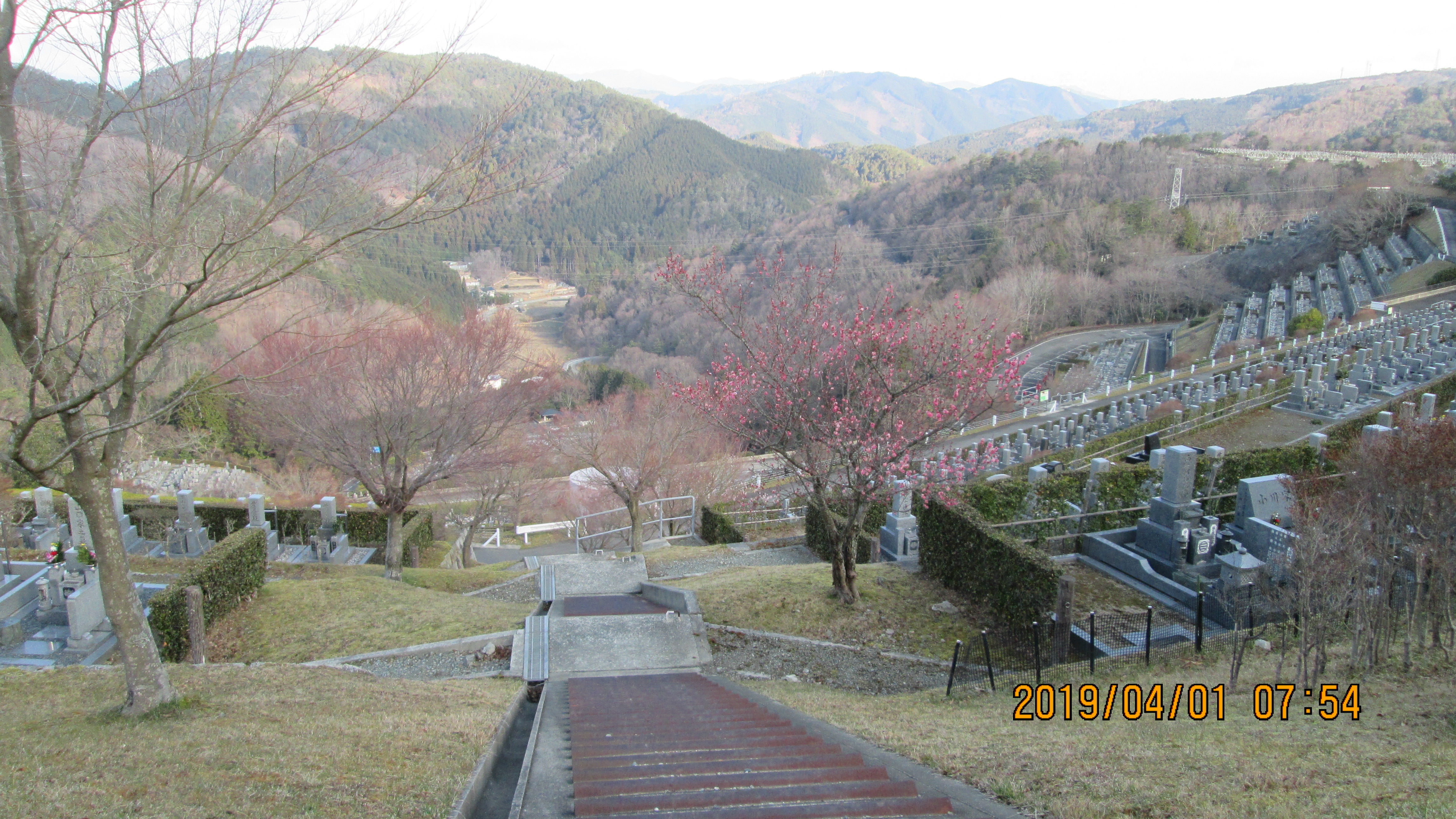 階段墓域・7区7番駐車場～風景