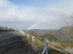 階段墓域・7区7番駐車場風景