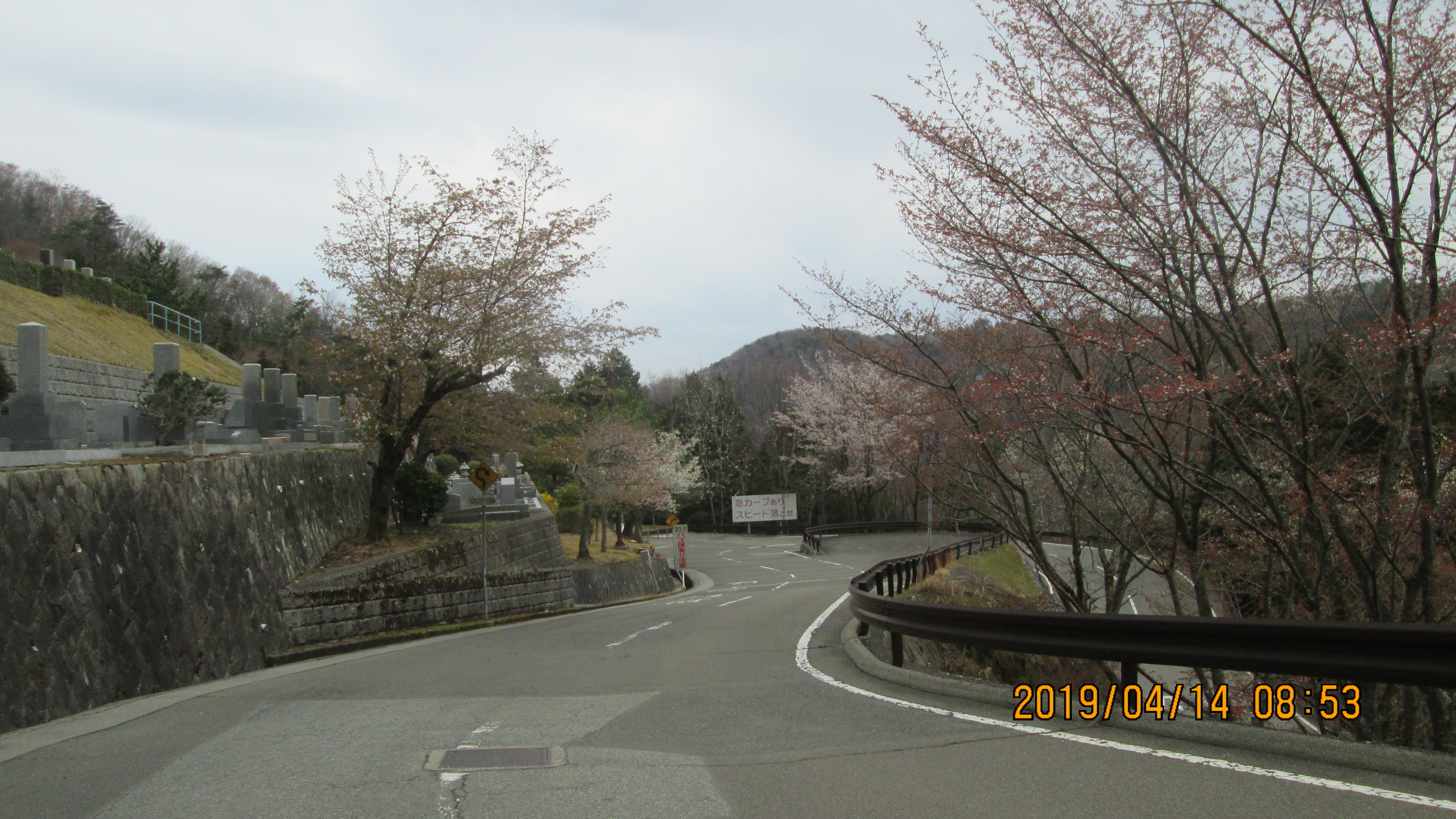 バス通り・6区バス停付近の風景