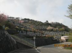 バス通り・7区墓所バス停風景