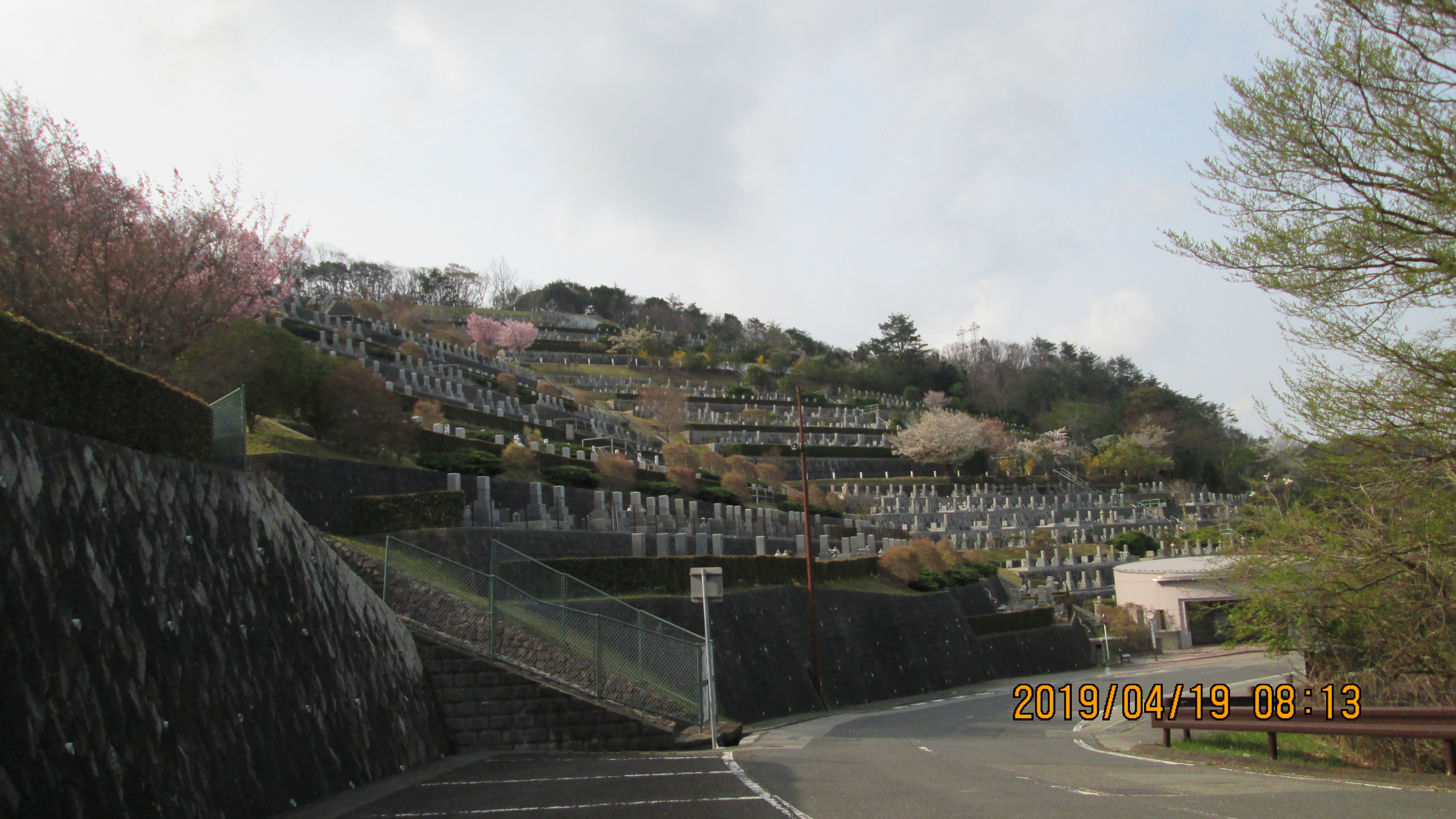 バス通り・7区墓所バス停風景