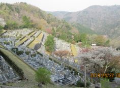 バス通り・1区4/6番墓所枝道入口