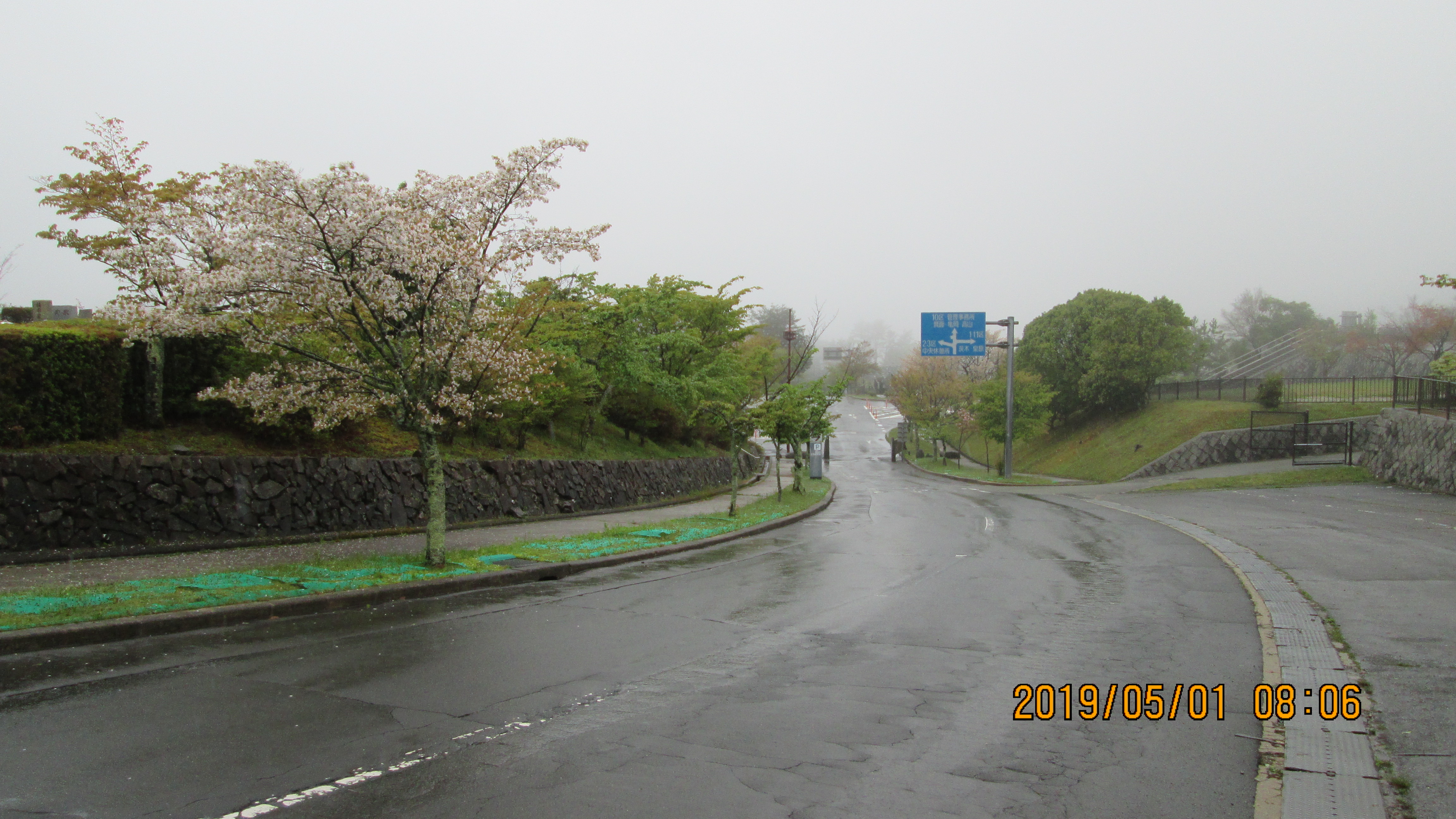 バス通り・2区2番横歩道風景