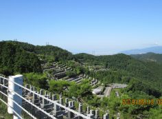 階段墓域・8区4/5番枝道～撮影