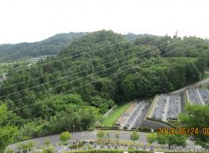階段墓域・1番枝道～の風景