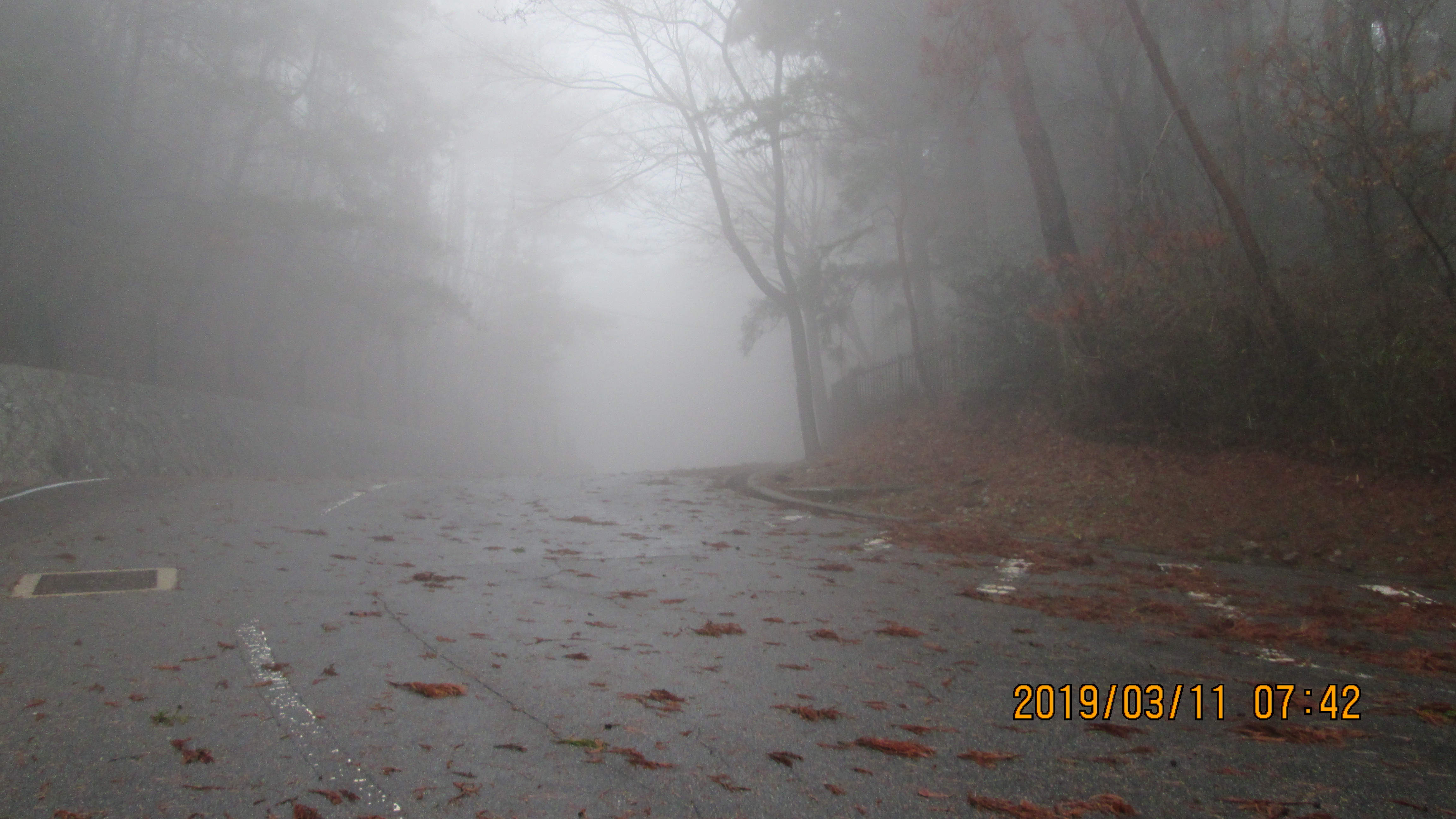 バス通り・八天の森付近風景