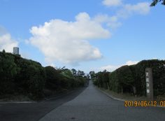 一般墓域・2区3/4番枝道～撮影