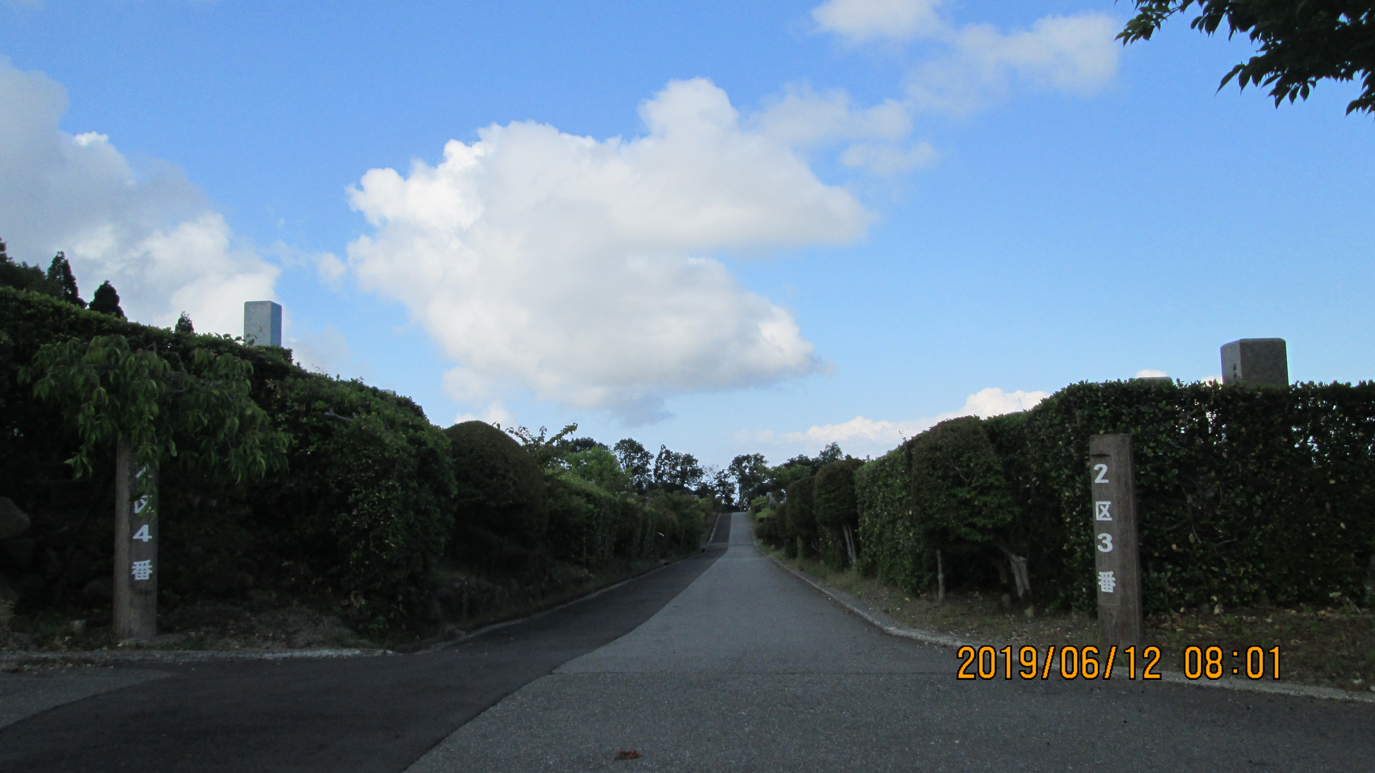 一般墓域・2区3/4番枝道～撮影