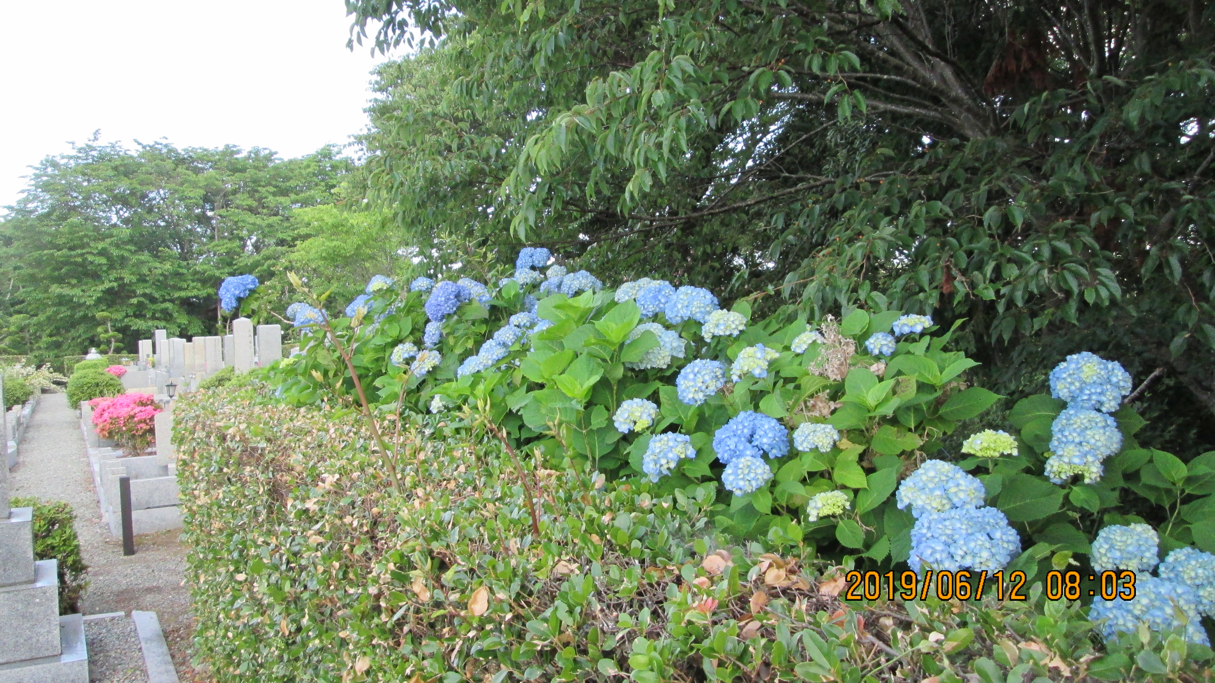 一般墓域・3区4番墓所～撮影