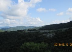 階段墓域・8区4番枝道駐車場～