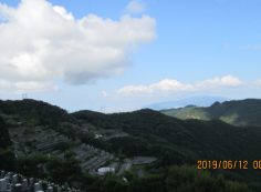 階段墓域・8区4/5番枝道～撮影