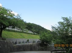 バス通り・6区墓所風景～