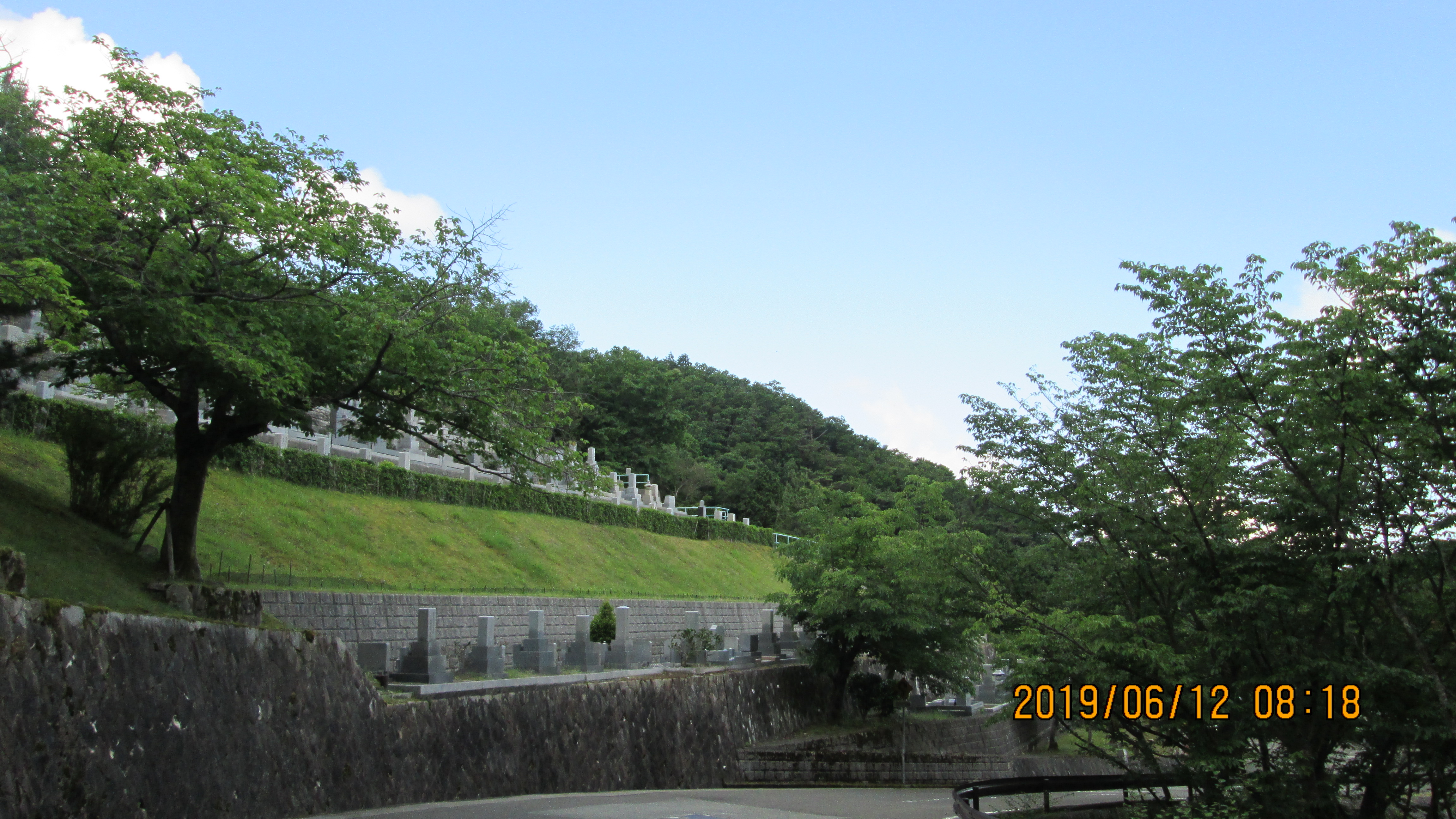 バス通り・6区墓所風景～