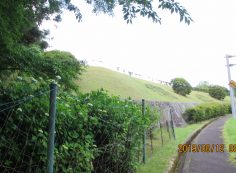 バス通り・5区芝生墓所手前