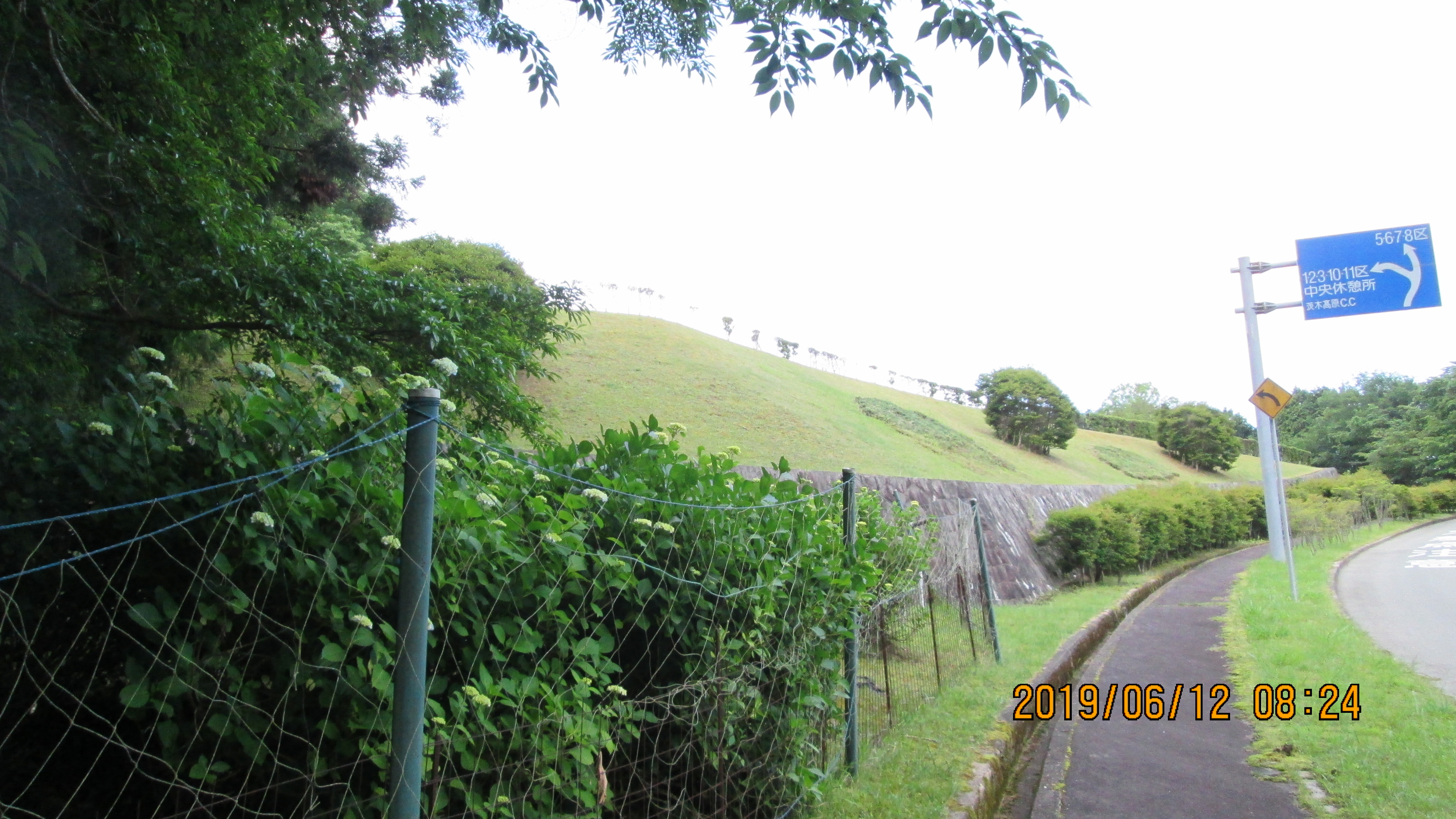 バス通り・5区芝生墓所手前