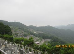 階段墓域・8区4/5番枝道～撮影