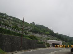 バス通り・7区墓域～バス停風景