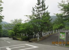 バス通り・5区1/2番墓枝道～撮影