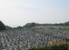 一般墓域・11区2番芝生墓所～撮影