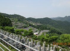 階段墓域・8区4/5番枝道～撮影