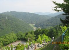 階段墓域・6区5番墓所～撮影