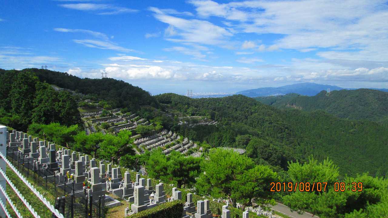 階段墓域・8区4/5番枝道～撮影