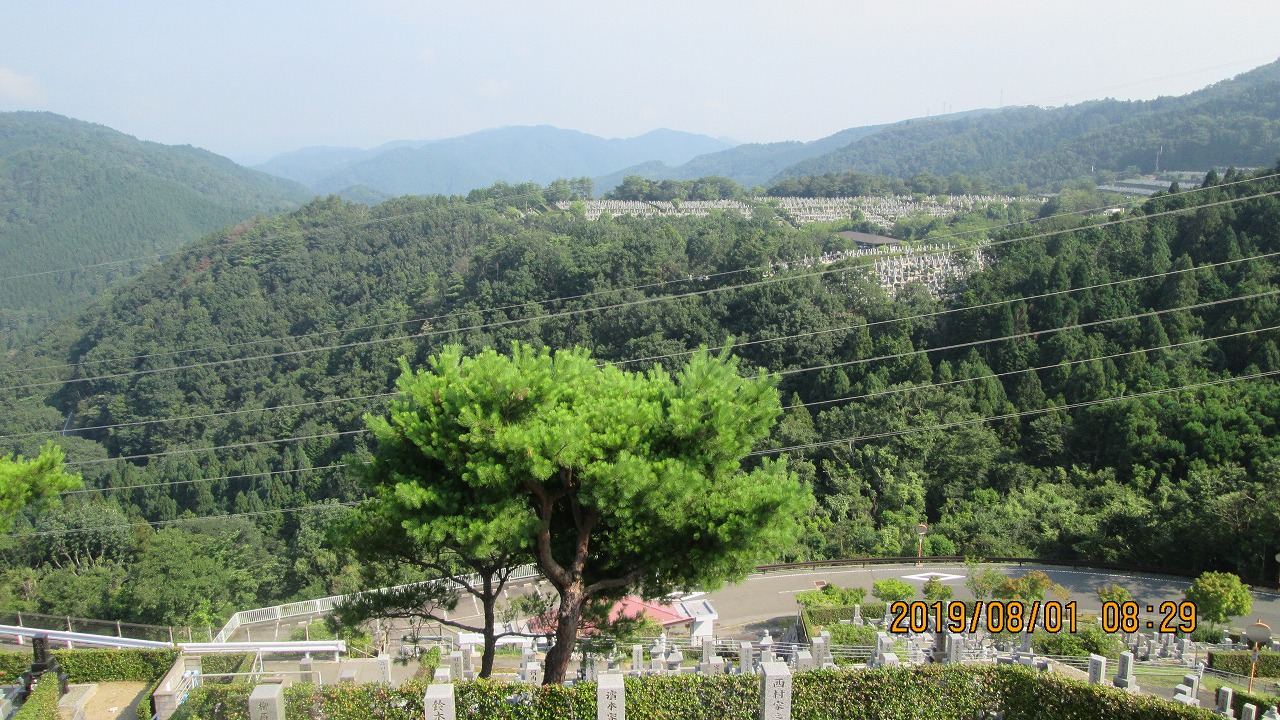 階段墓域・8区4番枝道駐車場～撮影