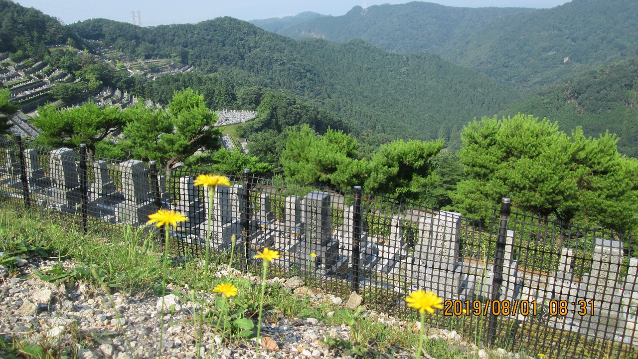 階段墓域・8区4/5番枝道～風景影