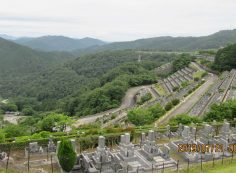 階段墓域・7区3番上段駐車場～眼下撮影